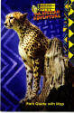 Africa Alive! 1999 - Cheetah